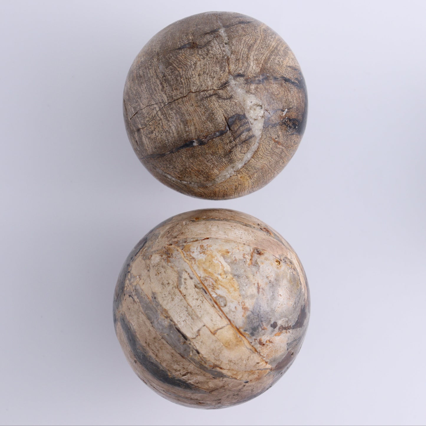 Petrified Wood Spheres Set of 4 - Expert Wholesale and Supplier of Wholesale Crystals & Bulk Gemstones, ["Indonesia","Petrified Wood","Spheres"]