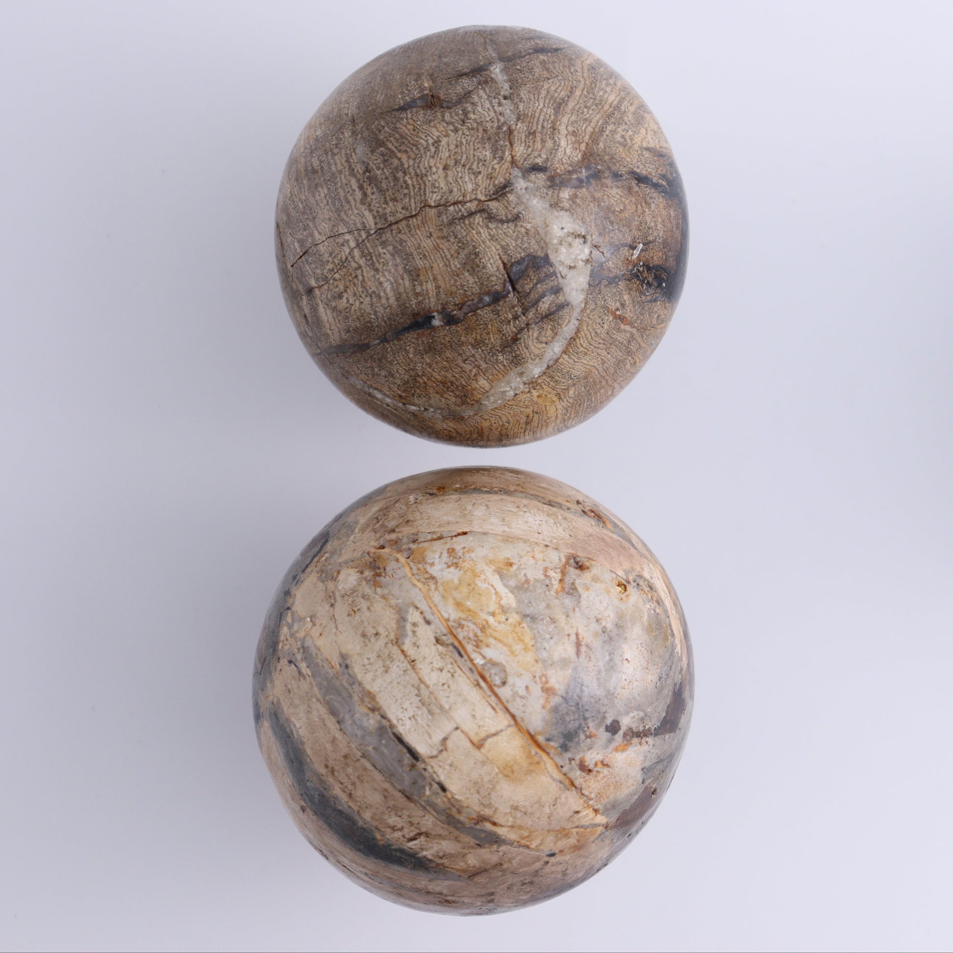 Petrified Wood Spheres Set of 4 - Expert Wholesale and Supplier of Wholesale Crystals & Bulk Gemstones, ["Indonesia","Petrified Wood","Spheres"]