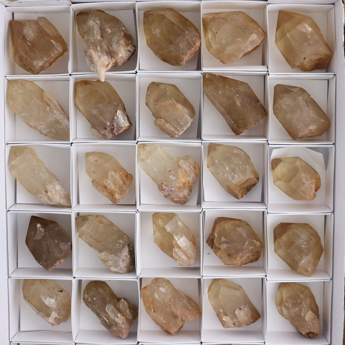 Congo Citrine Set of 35