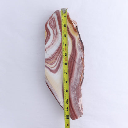 Rhyolite Slabs Set of 2