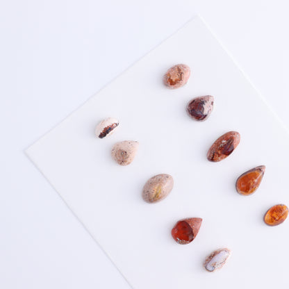 Cantera Opal Cabs Set of 10 - Expert Wholesale and Supplier of Wholesale Crystals & Bulk Gemstones, ["Cabs","Cantera Opal","Mexico","Opal"]