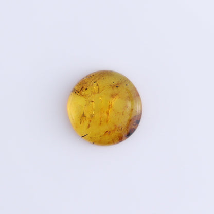 Chiapas Mexico Amber Cabs Set of 5 - Expert Wholesale and Supplier of Wholesale Crystals & Bulk Gemstones, ["Amber","Cabs","Chiapas Amber","Mexico"]