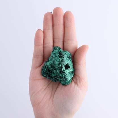 Malachite Freeforms Set of 9