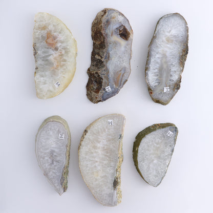 Agate Slices Set of 6 - Expert Wholesale and Supplier of Wholesale Crystals & Bulk Gemstones, ["Agate","Brazil","Slices and Slabs"]