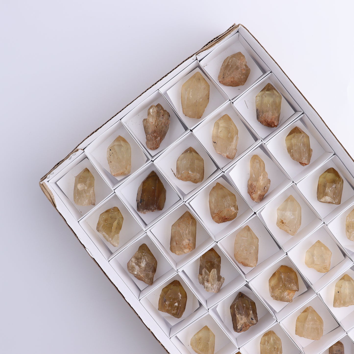 Congo Citrine Set of 35