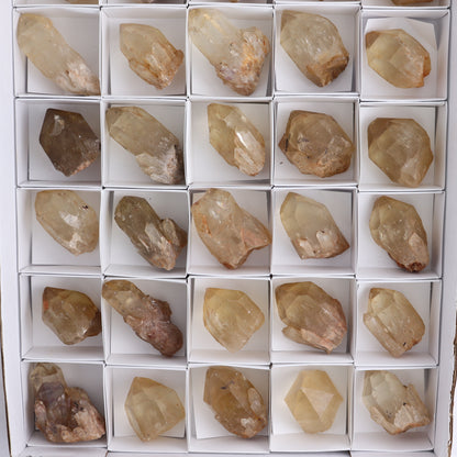 Congo Citrine Set of 35