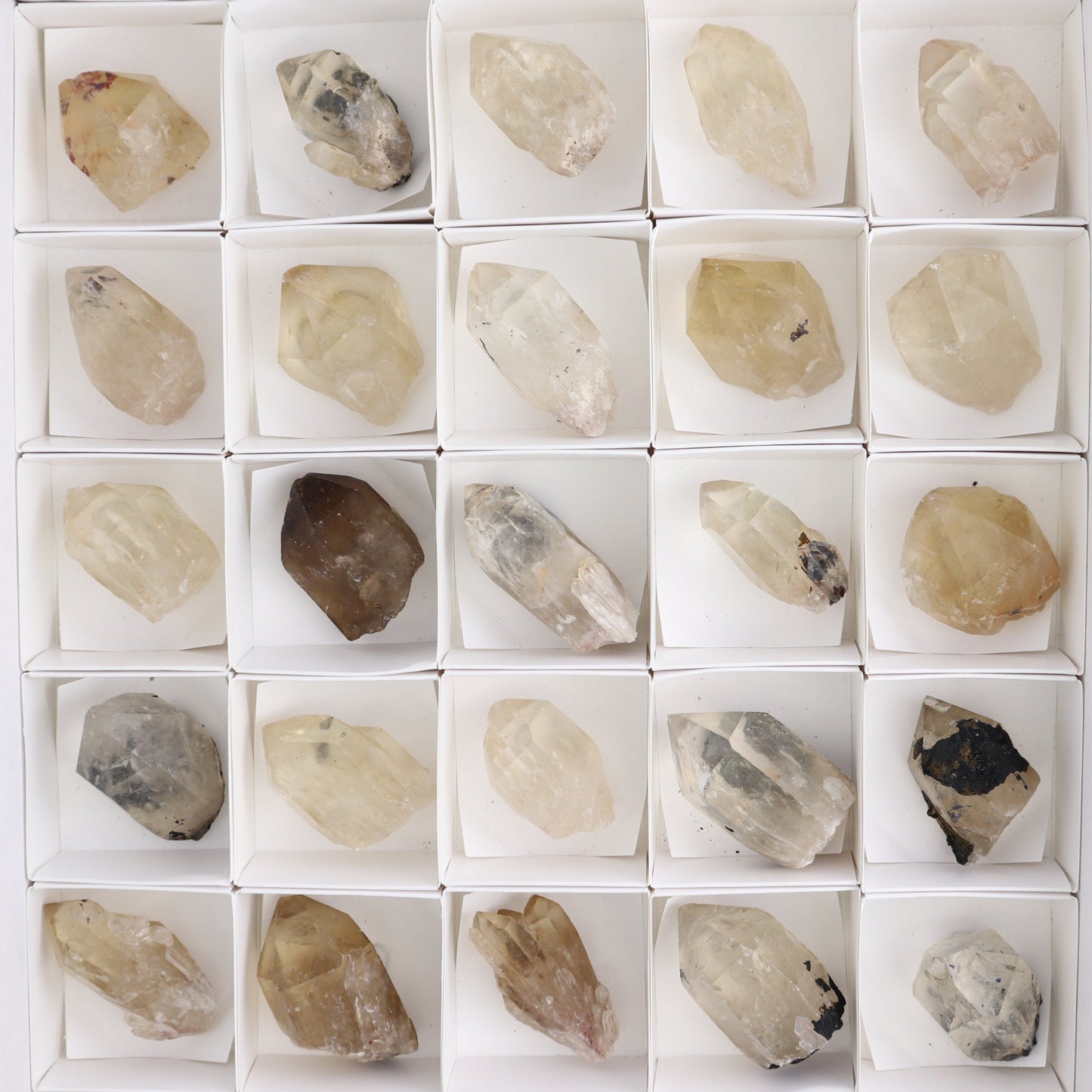Congo Citrine Set of 35