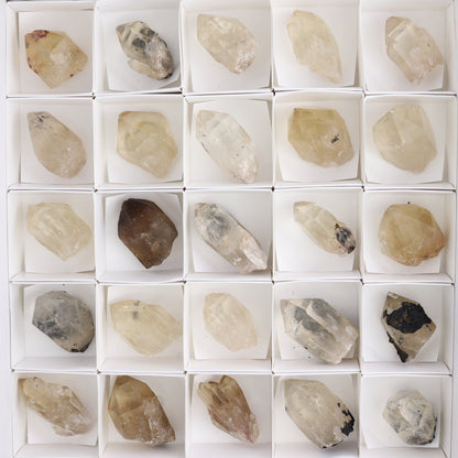 Congo Citrine Set of 35