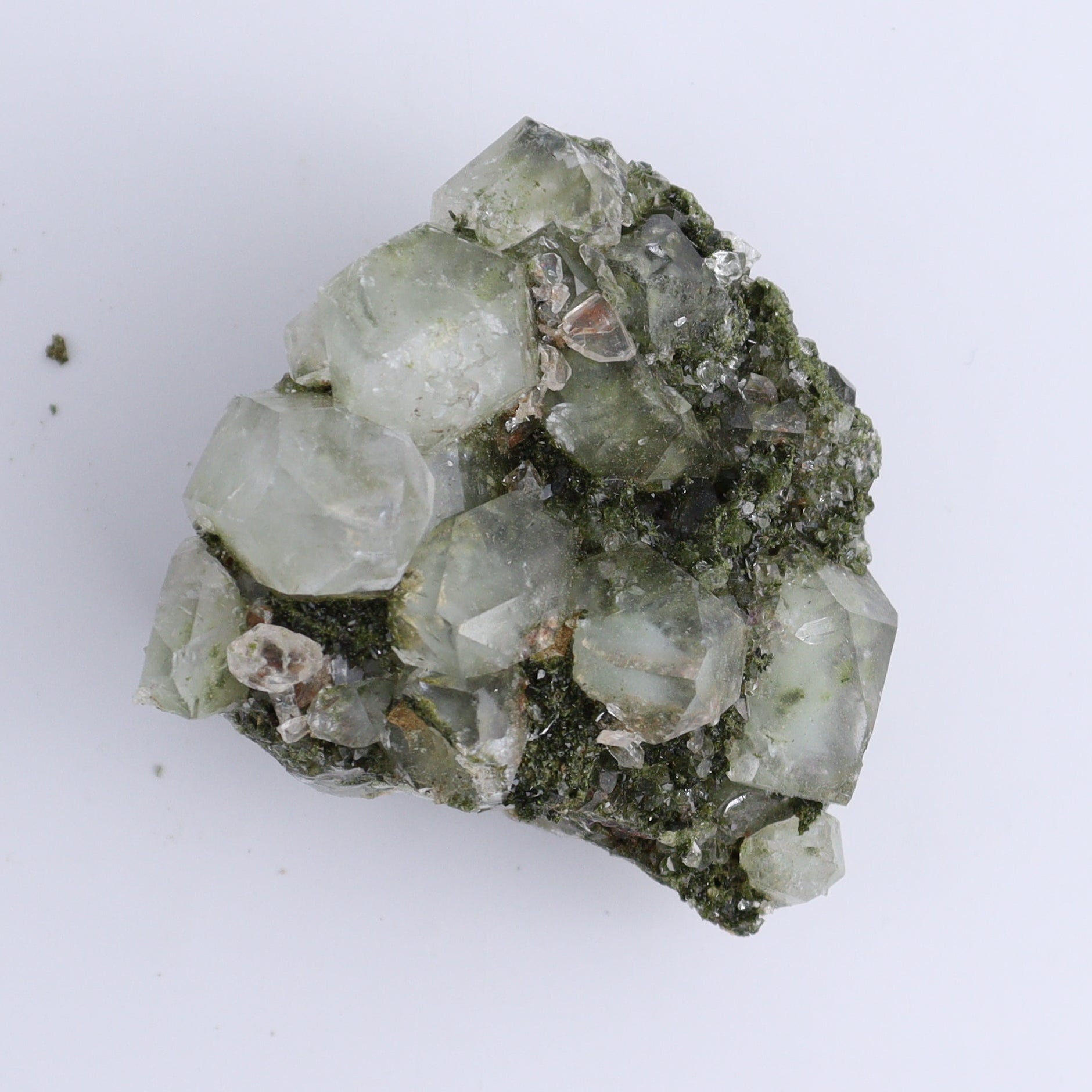 Epidote Flat Set of 6 - Expert Wholesale and Supplier of Wholesale Crystals & Bulk Gemstones, ["epidote","flat","Flats"]