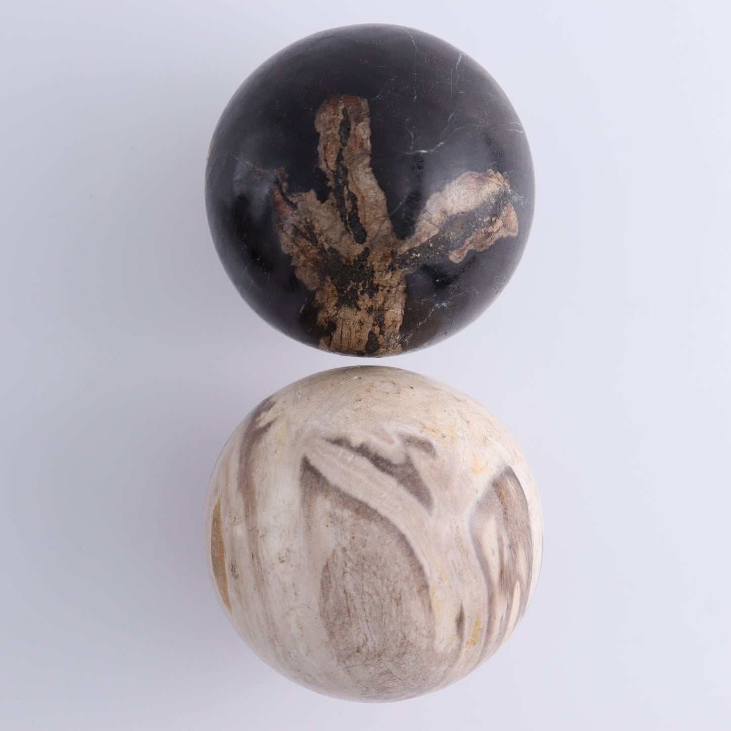 Petrified Wood Spheres Set of 4 - Expert Wholesale and Supplier of Wholesale Crystals & Bulk Gemstones, ["Indonesia","Petrified Wood","Spheres"]