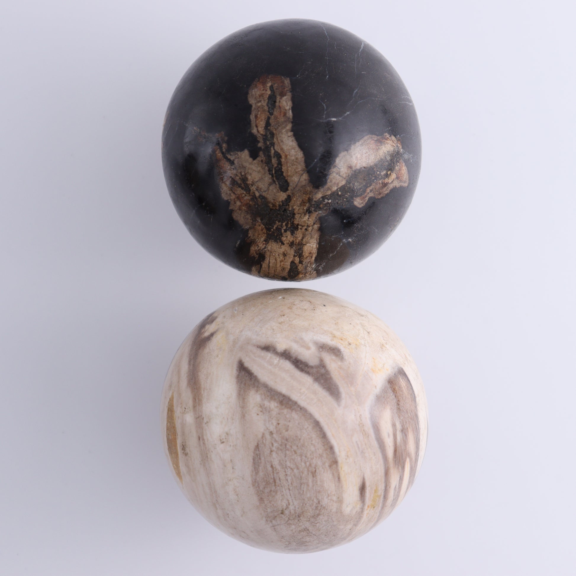Petrified Wood Spheres Set of 4 - Expert Wholesale and Supplier of Wholesale Crystals & Bulk Gemstones, ["Indonesia","Petrified Wood","Spheres"]