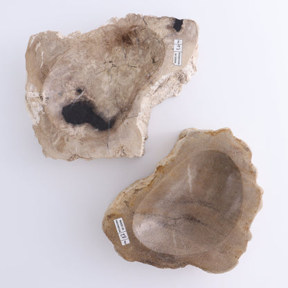 Petrified Wood Bowls Set of 2 - Expert Wholesale and Supplier of Wholesale Crystals & Bulk Gemstones, ["Bowls","Indonesia","Petrified Wood"]