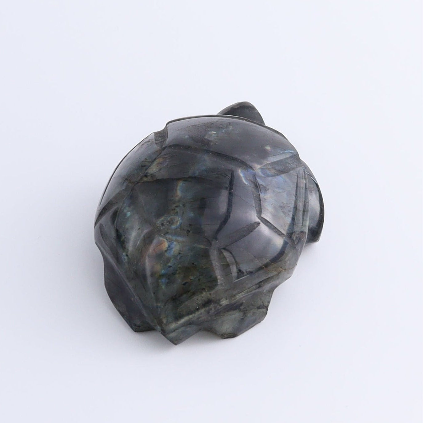 Labradorite Turtles Set of 5