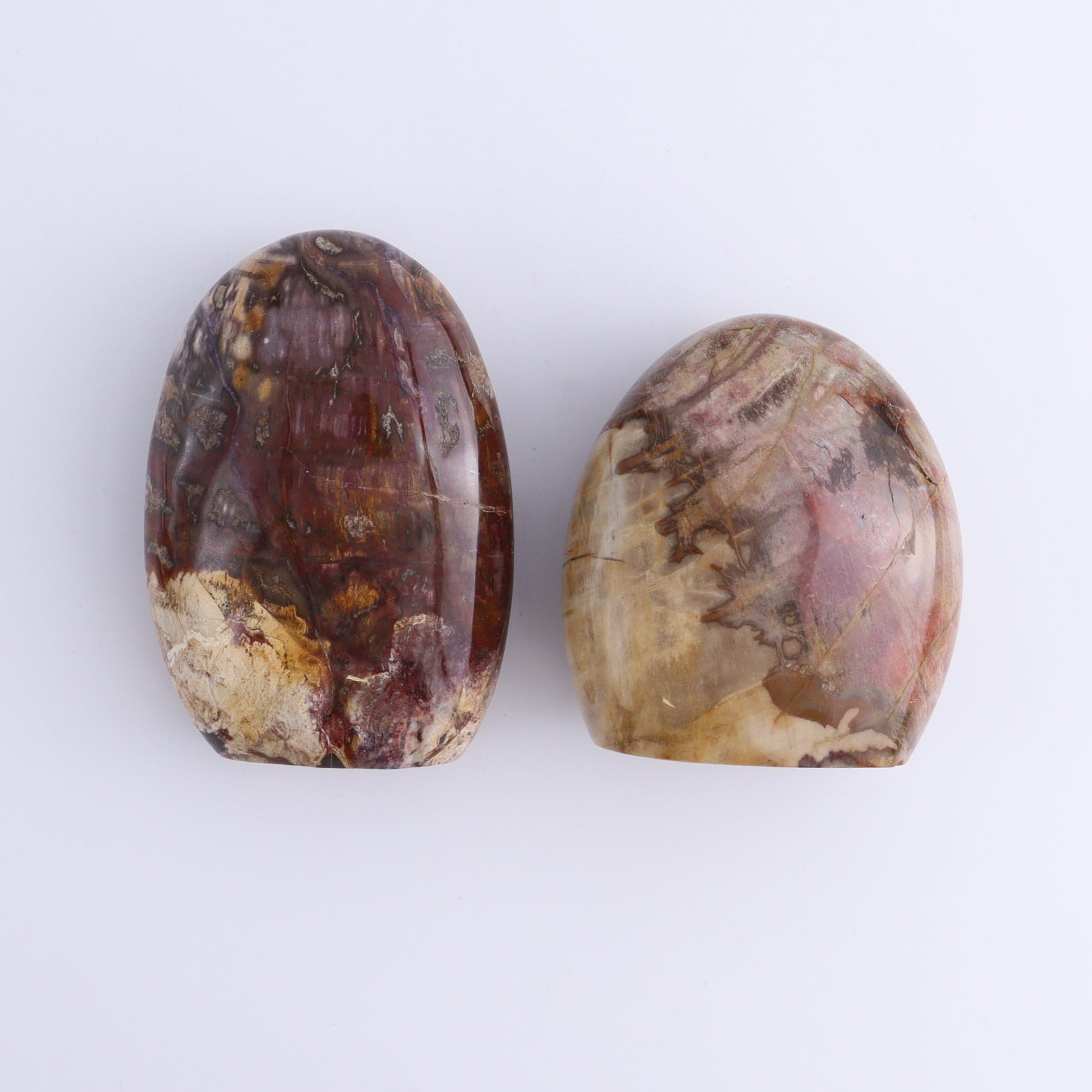 Petrified Wood Freeforms Set of 6 - Expert Wholesale and Supplier of Wholesale Crystals & Bulk Gemstones, ["Freeform","Freeforms","Madagascar","Petrified Wood"]