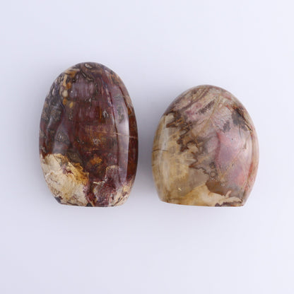 Petrified Wood Freeforms Set of 6 - Expert Wholesale and Supplier of Wholesale Crystals & Bulk Gemstones, ["Freeform","Freeforms","Madagascar","Petrified Wood"]