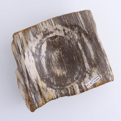 Petrified Wood Bowls Set of 2 - Expert Wholesale and Supplier of Wholesale Crystals & Bulk Gemstones, ["Bowls","Indonesia","Petrified Wood"]