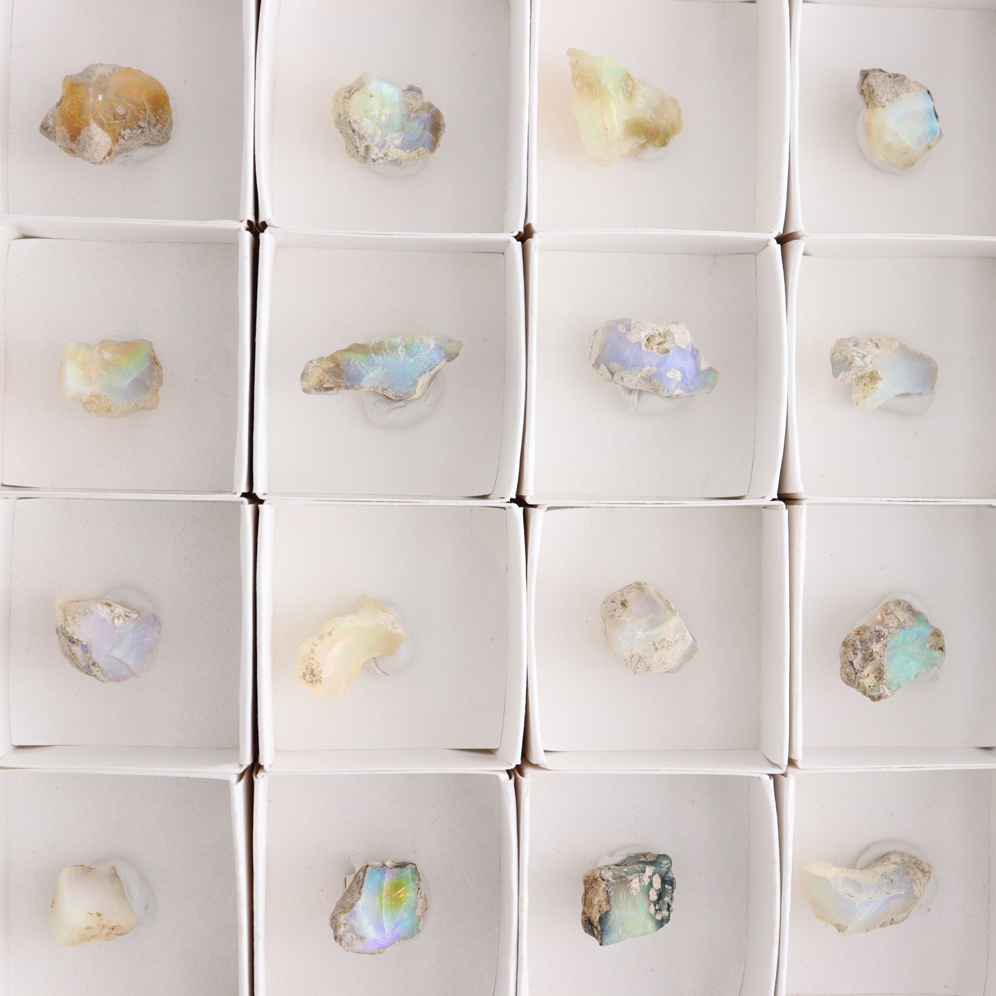 Ethiopian Opal Set of 24 - Expert Wholesale and Supplier of Wholesale Crystals & Bulk Gemstones, ["Ethiopia","ethiopian opal","Opal"]