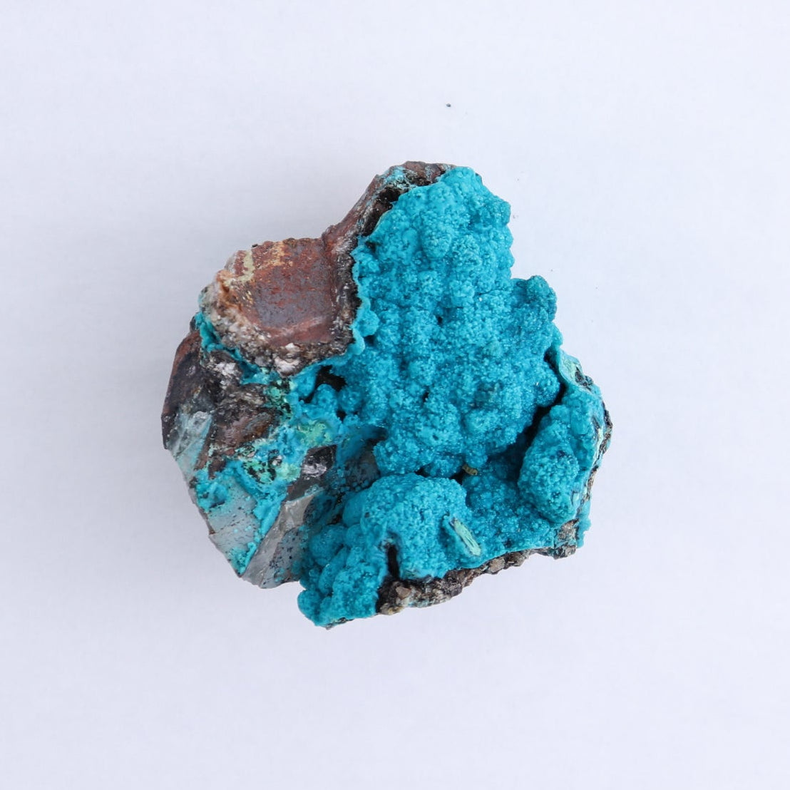 Chrysocolla on Quartz Roughs Set of 6