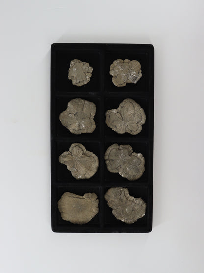 Pyrite Slices and Slabs Set of 8 - Expert Wholesale and Supplier of Wholesale Crystals & Bulk Gemstones, []