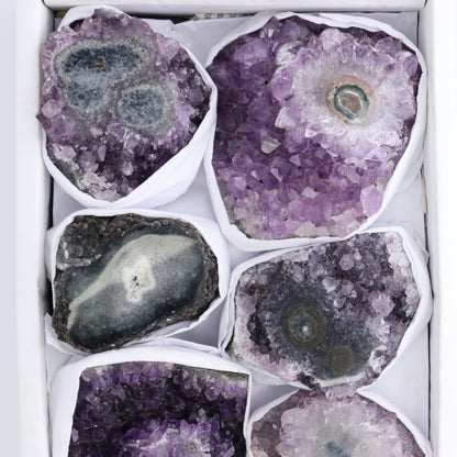 *sold Uruguay Amethyst Clusters with "Eyes" Flat of 8 - Expert Wholesale and Supplier of Wholesale Crystals & Bulk Gemstones, ["Amethyst","Amethyst Eyes","Clusters","Uruguay"]