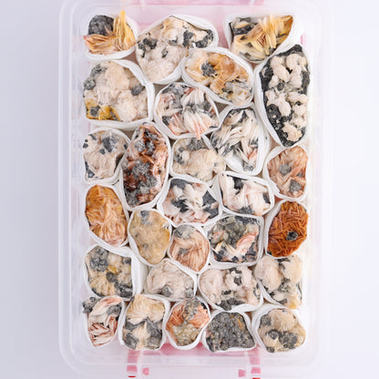 Cerussite Barite from Morocco Flat - Expert Wholesale and Supplier of Wholesale Crystals & Bulk Gemstones, ["Cerussite Barite","Flats","Morocco"]