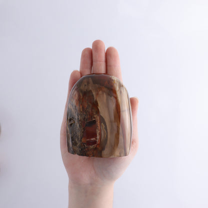 Petrified Wood Freeform Set of 3 - Expert Wholesale and Supplier of Wholesale Crystals & Bulk Gemstones, ["Freeforms","Madagascar","Petrified Wood"]