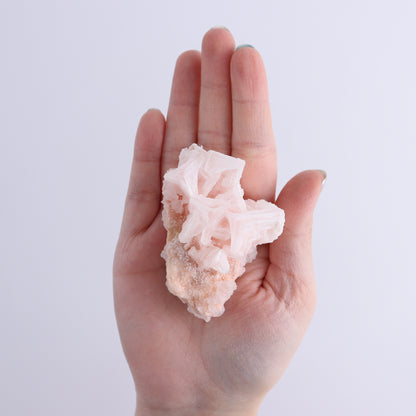 Searles Lake Halite Flat of 12 - Expert Wholesale and Supplier of Wholesale Crystals & Bulk Gemstones, ["Flats","Halite","United States"]