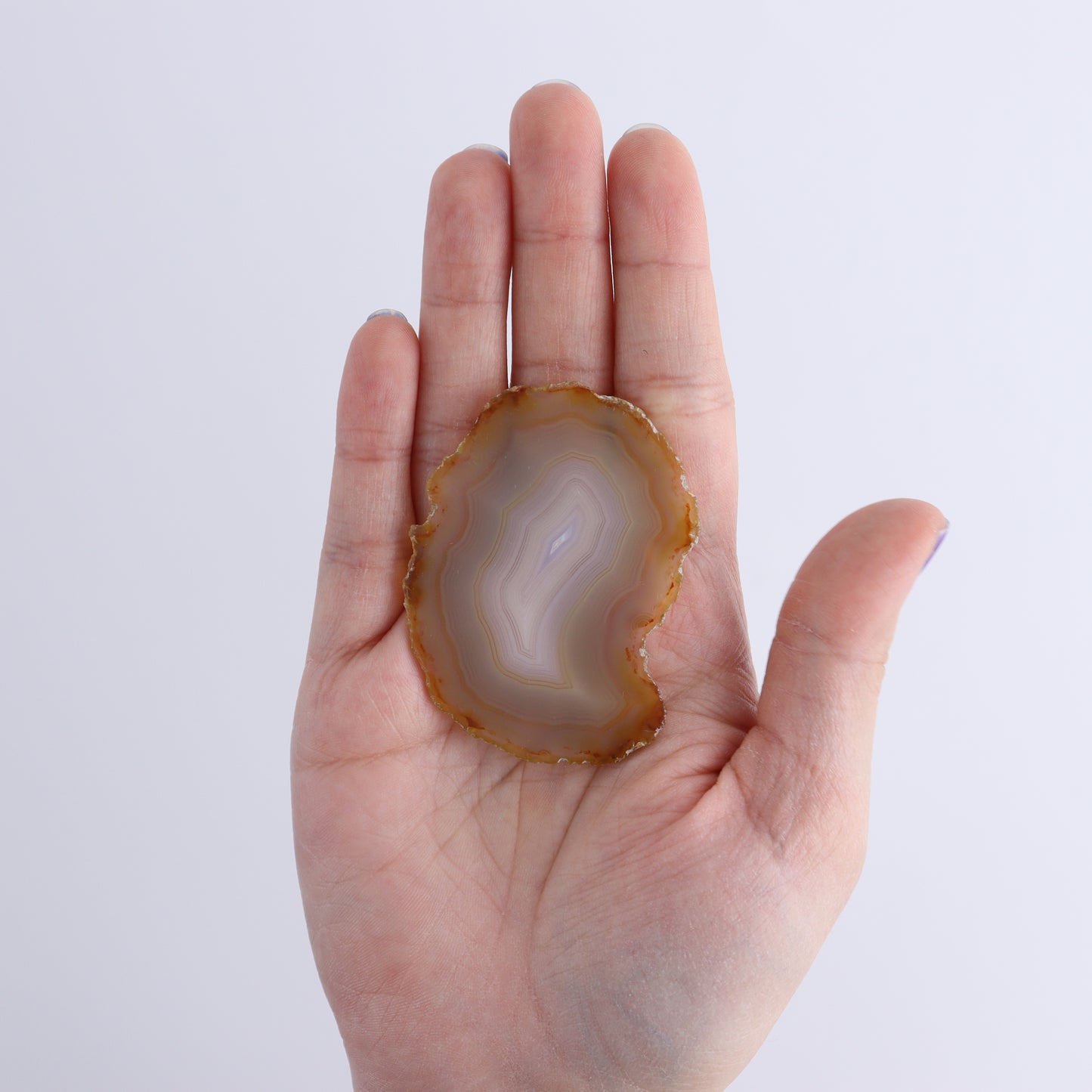 Iris Agate Slices Set of 8 - Expert Wholesale and Supplier of Wholesale Crystals & Bulk Gemstones, ["Agate","Iris Agate","Slices and Slabs"]