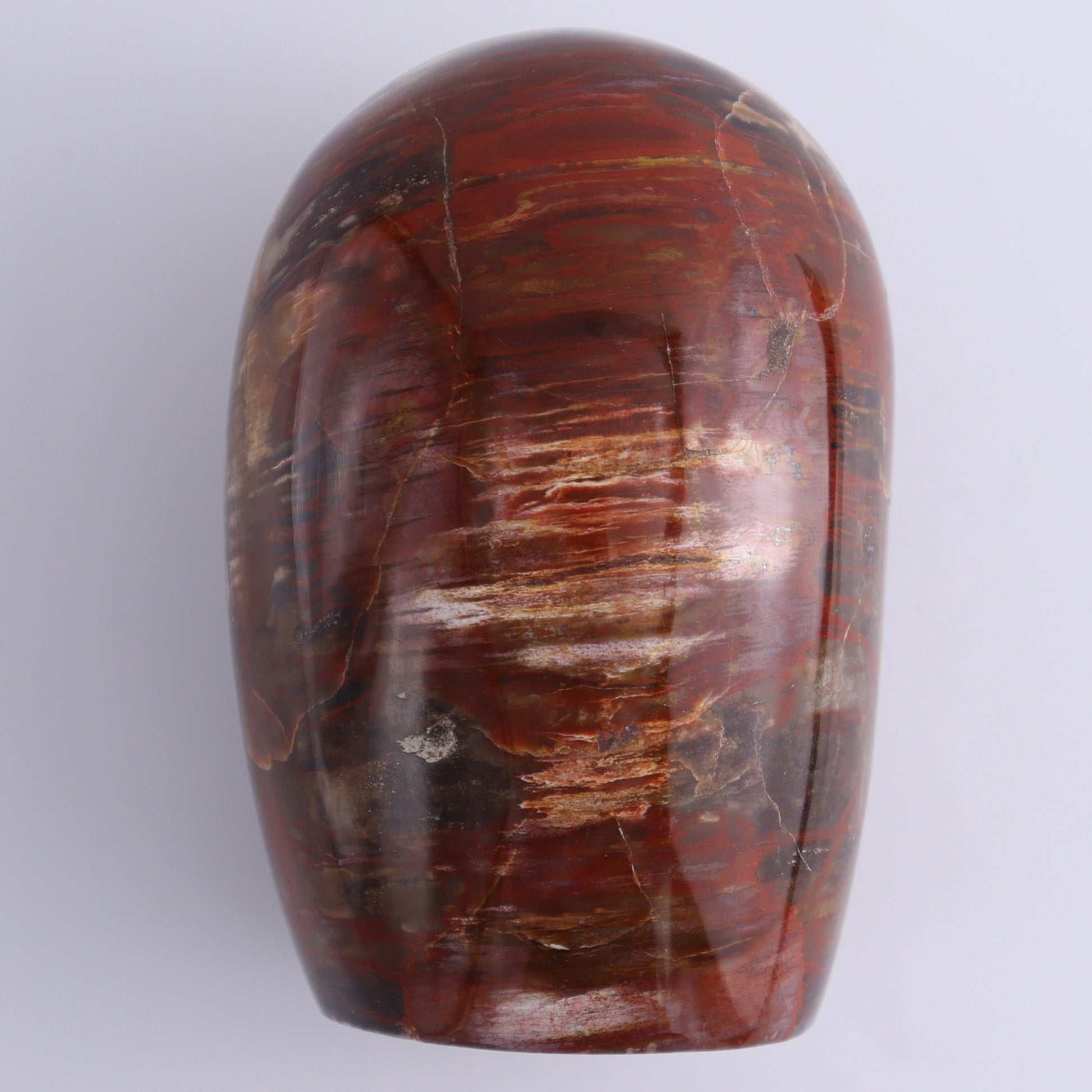 Petrified Wood Freeform Set of 3 - Expert Wholesale and Supplier of Wholesale Crystals & Bulk Gemstones, ["Freeforms","Madagascar","Petrified Wood"]