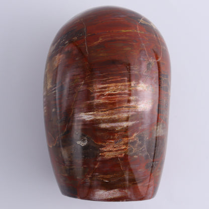 Petrified Wood Freeform Set of 3 - Expert Wholesale and Supplier of Wholesale Crystals & Bulk Gemstones, ["Freeforms","Madagascar","Petrified Wood"]