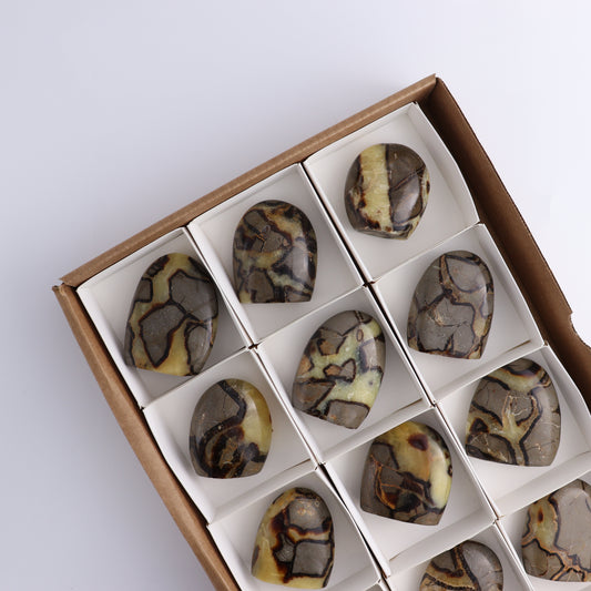Septarian Freeforms Set of 12 - Expert Wholesale and Supplier of Wholesale Crystals & Bulk Gemstones, ["Flats","Freeforms","Madagascar","Septarian"]