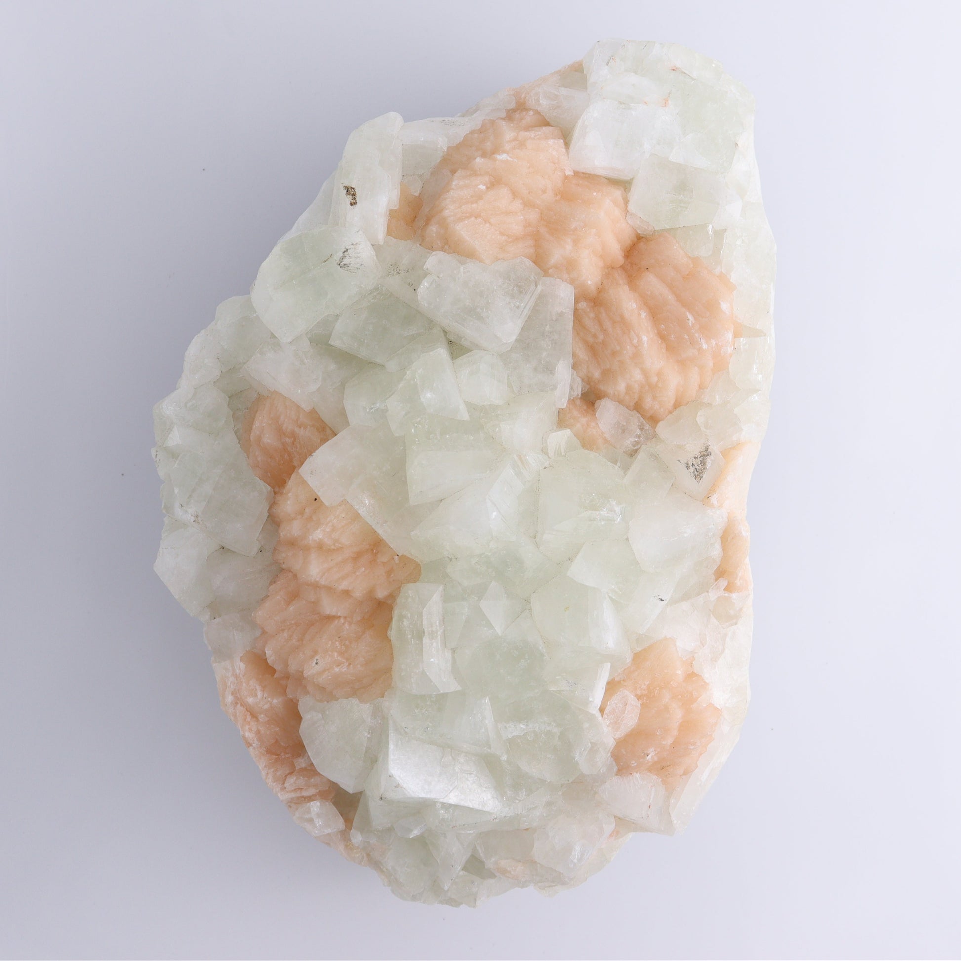 Large Apophyllite Cluster - Expert Wholesale and Supplier of Wholesale Crystals & Bulk Gemstones, ["Apophyllite","close_50","Clusters"]