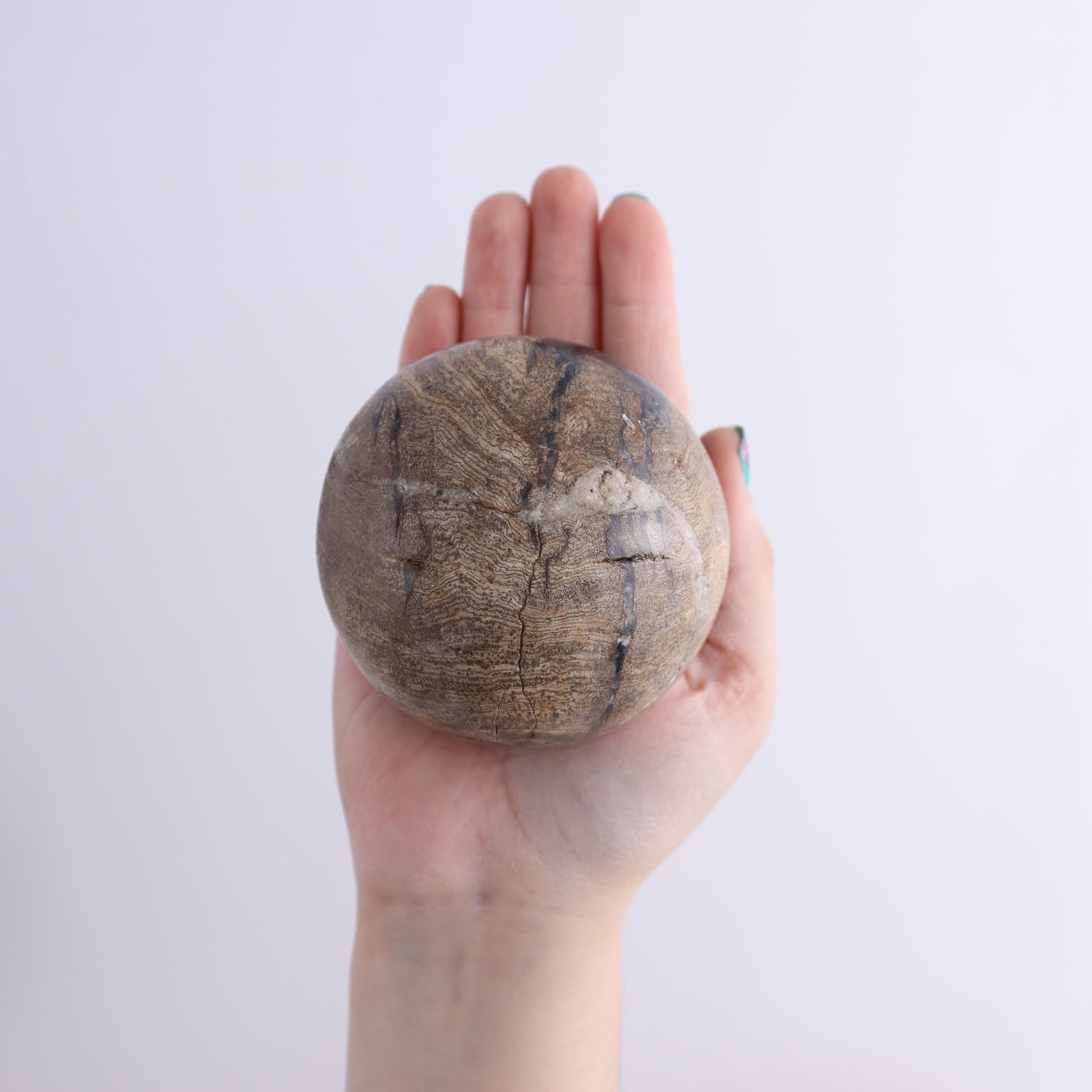 Petrified Wood Spheres Set of 4 - Expert Wholesale and Supplier of Wholesale Crystals & Bulk Gemstones, ["Indonesia","Petrified Wood","Spheres"]