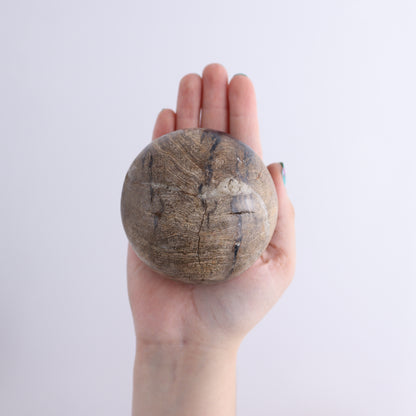 Petrified Wood Spheres Set of 4 - Expert Wholesale and Supplier of Wholesale Crystals & Bulk Gemstones, ["Indonesia","Petrified Wood","Spheres"]
