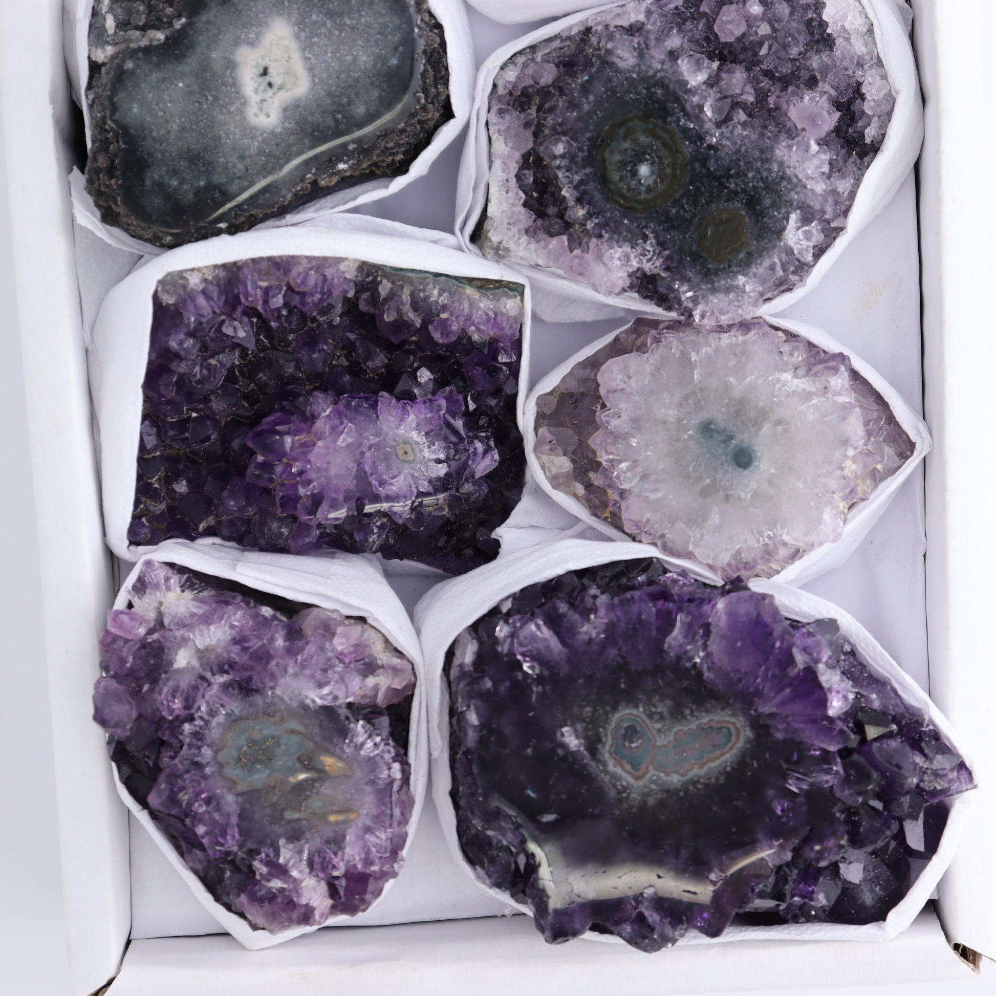 *sold Uruguay Amethyst Clusters with "Eyes" Flat of 8 - Expert Wholesale and Supplier of Wholesale Crystals & Bulk Gemstones, ["Amethyst","Amethyst Eyes","Clusters","Uruguay"]