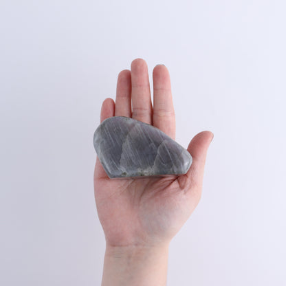 Labradorite Freeform Set of 5