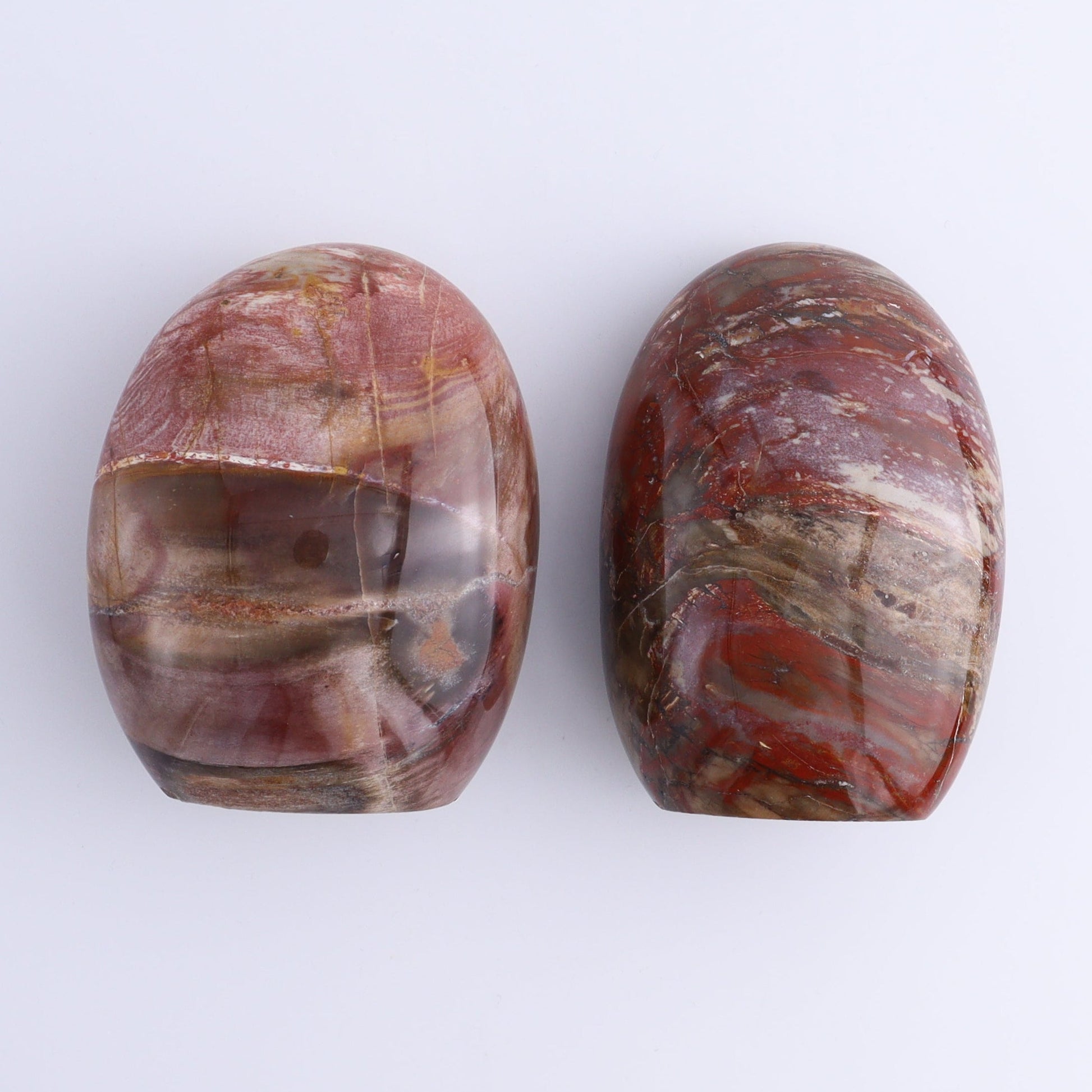 Petrified Wood Freeforms Set of 6 - Expert Wholesale and Supplier of Wholesale Crystals & Bulk Gemstones, ["Freeform","Freeforms","Madagascar","Petrified Wood"]
