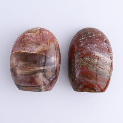Petrified Wood Freeforms Set of 6 - Expert Wholesale and Supplier of Wholesale Crystals & Bulk Gemstones, ["Freeform","Freeforms","Madagascar","Petrified Wood"]