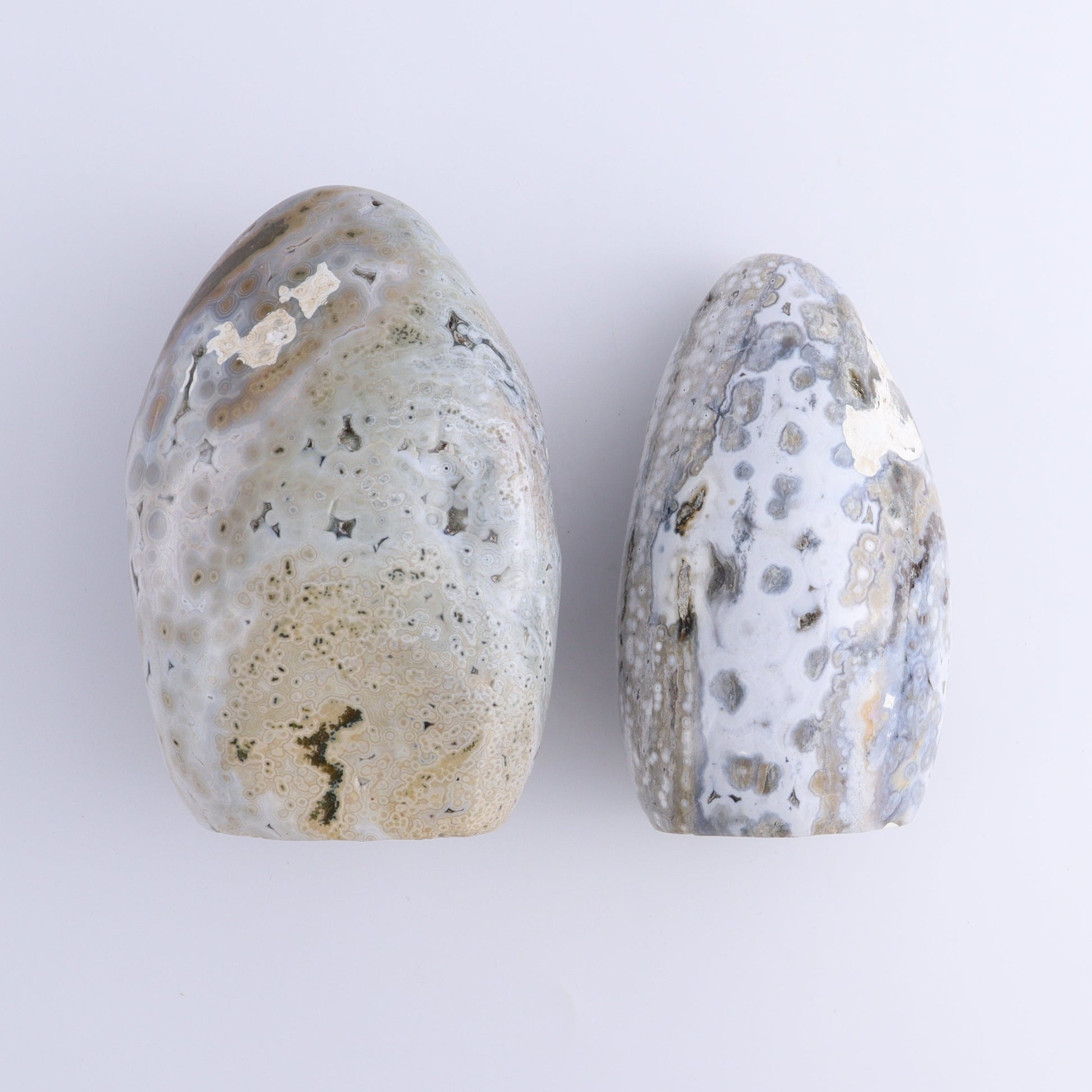 Ocean Jasper Freeform Set of 2 - Expert Wholesale and Supplier of Wholesale Crystals & Bulk Gemstones, ["Freeforms","jasper","Ocean Jasper"]