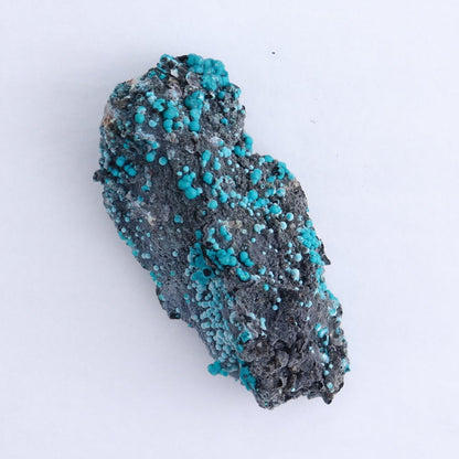 Chrysocolla on Quartz Roughs Set of 6