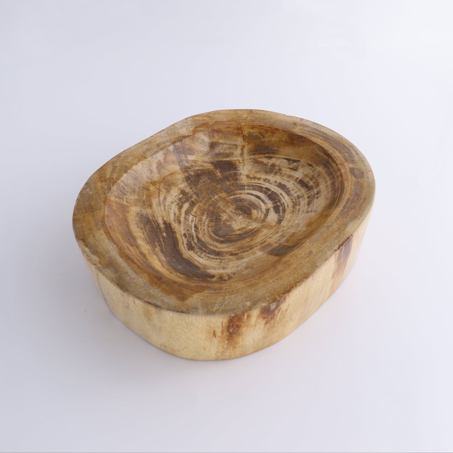 Petrified Wood Bowl - Expert Wholesale and Supplier of Wholesale Crystals & Bulk Gemstones, ["Bowls","Indonesia","Petrified Wood"]