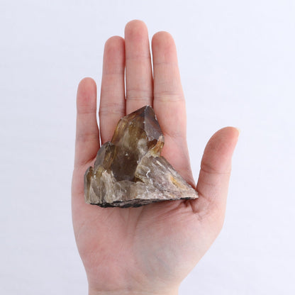 Congo Citrine Set of 12