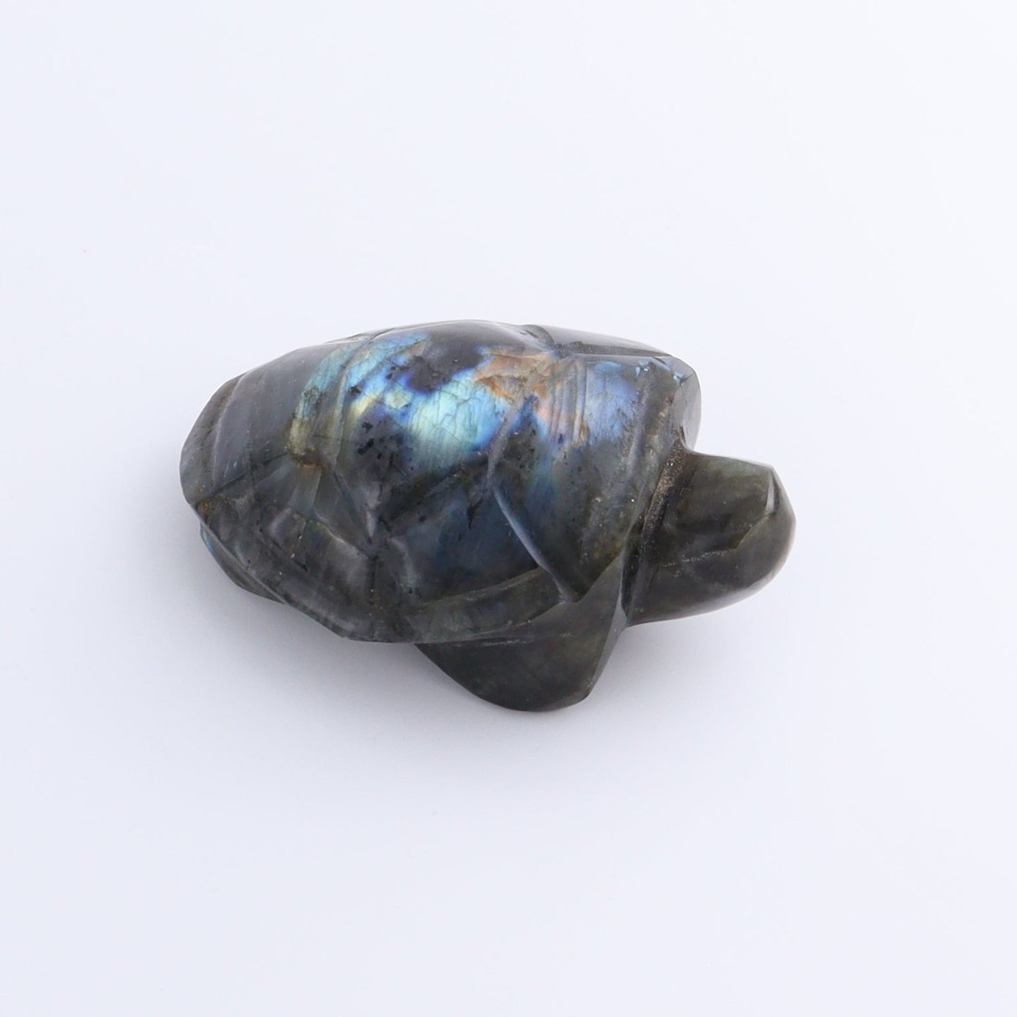Labradorite Turtles Set of 5