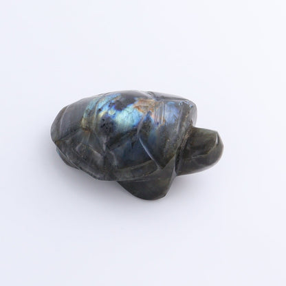 Labradorite Turtles Set of 5