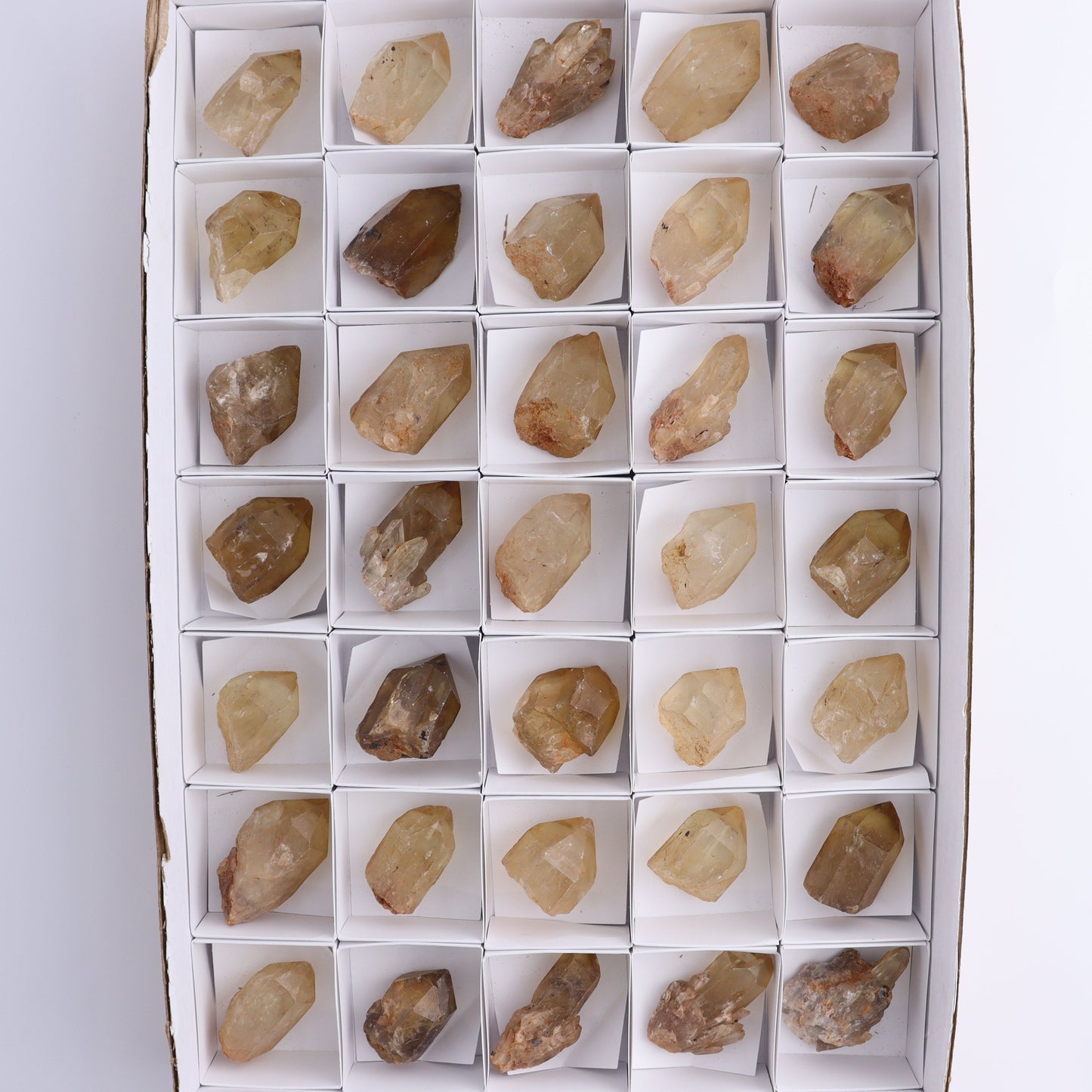 Congo Citrine Set of 35