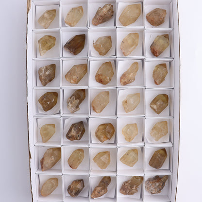 Congo Citrine Set of 35