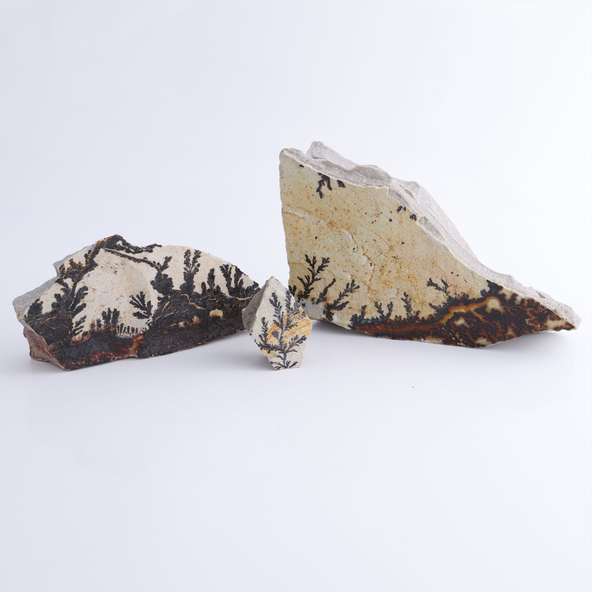 Dendrites Flat Set of 8 - Expert Wholesale and Supplier of Wholesale Crystals & Bulk Gemstones, ["Dendrite","Flats"]