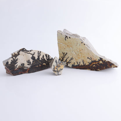 Dendrites Flat Set of 8 - Expert Wholesale and Supplier of Wholesale Crystals & Bulk Gemstones, ["Dendrite","Flats"]