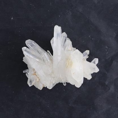 Lemurian Clusters from Columbia Set of 6