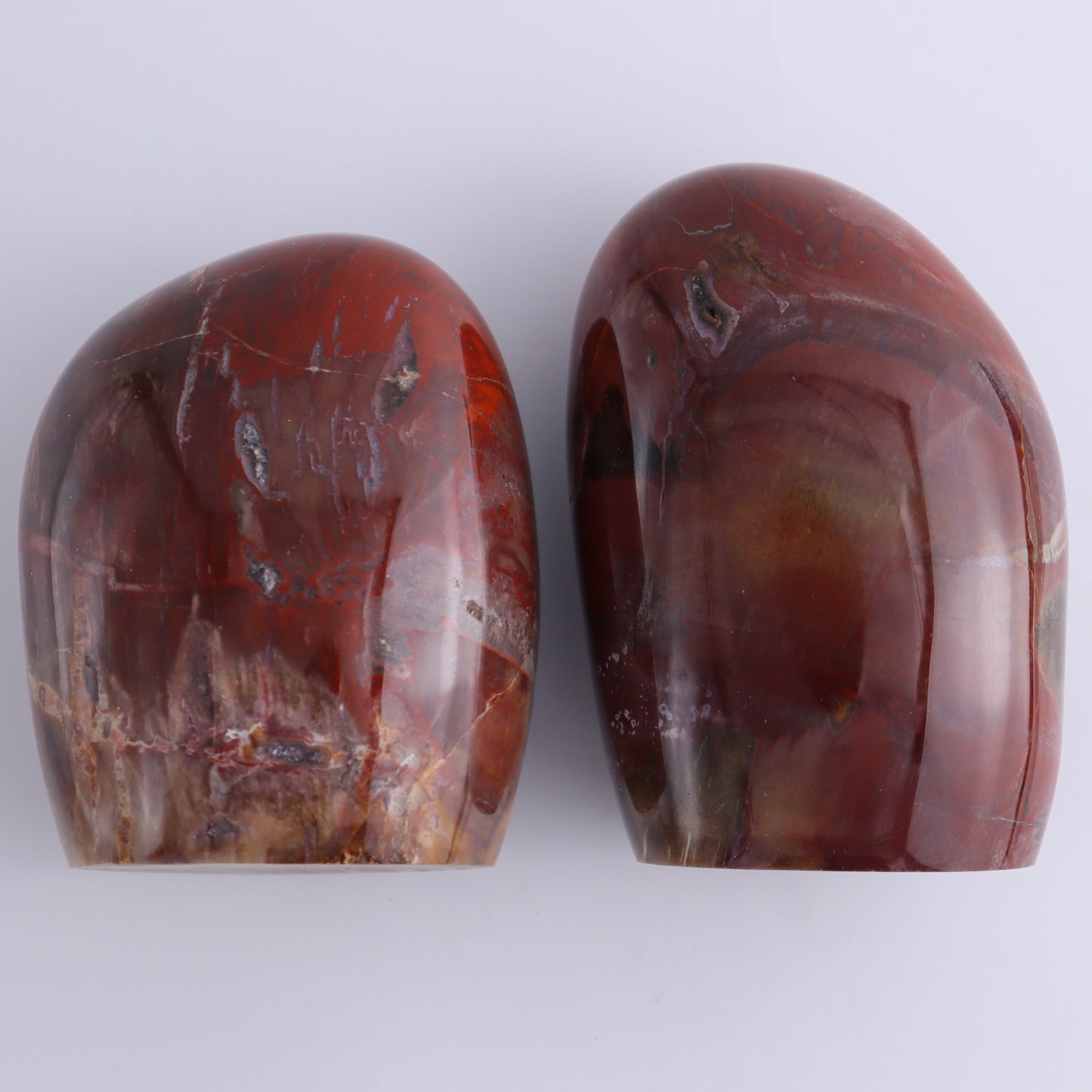 Petrified Wood Freeform Set of 3 - Expert Wholesale and Supplier of Wholesale Crystals & Bulk Gemstones, ["Freeforms","Madagascar","Petrified Wood"]
